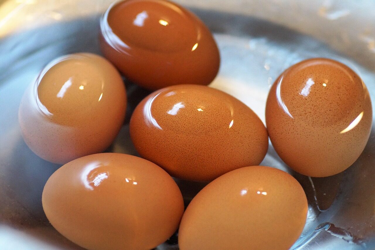 egg, brewed, on, hard-boiled, nature, eggs, cool, in, water, cooked